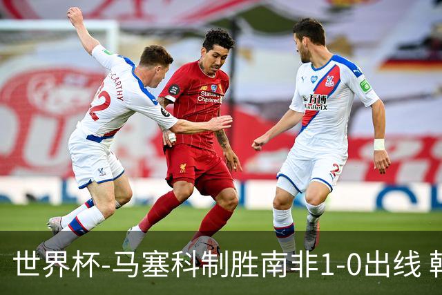 世界杯-马塞科制胜南非1-0出线 韩国积3分获小组第三待定